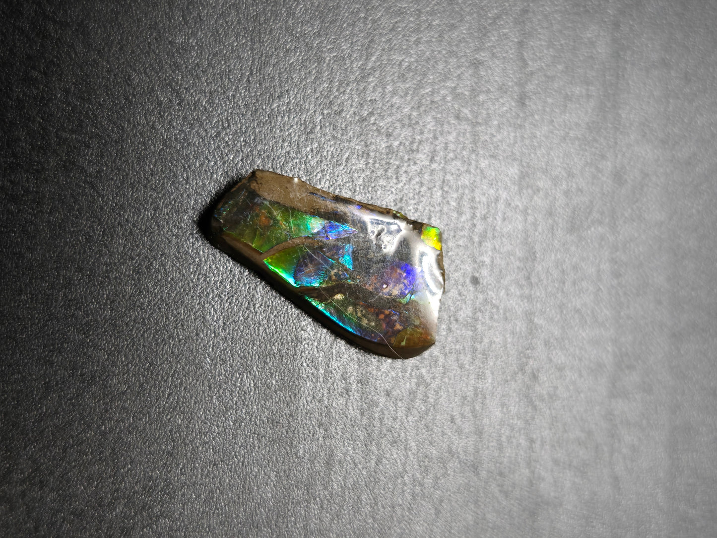 Ammolite