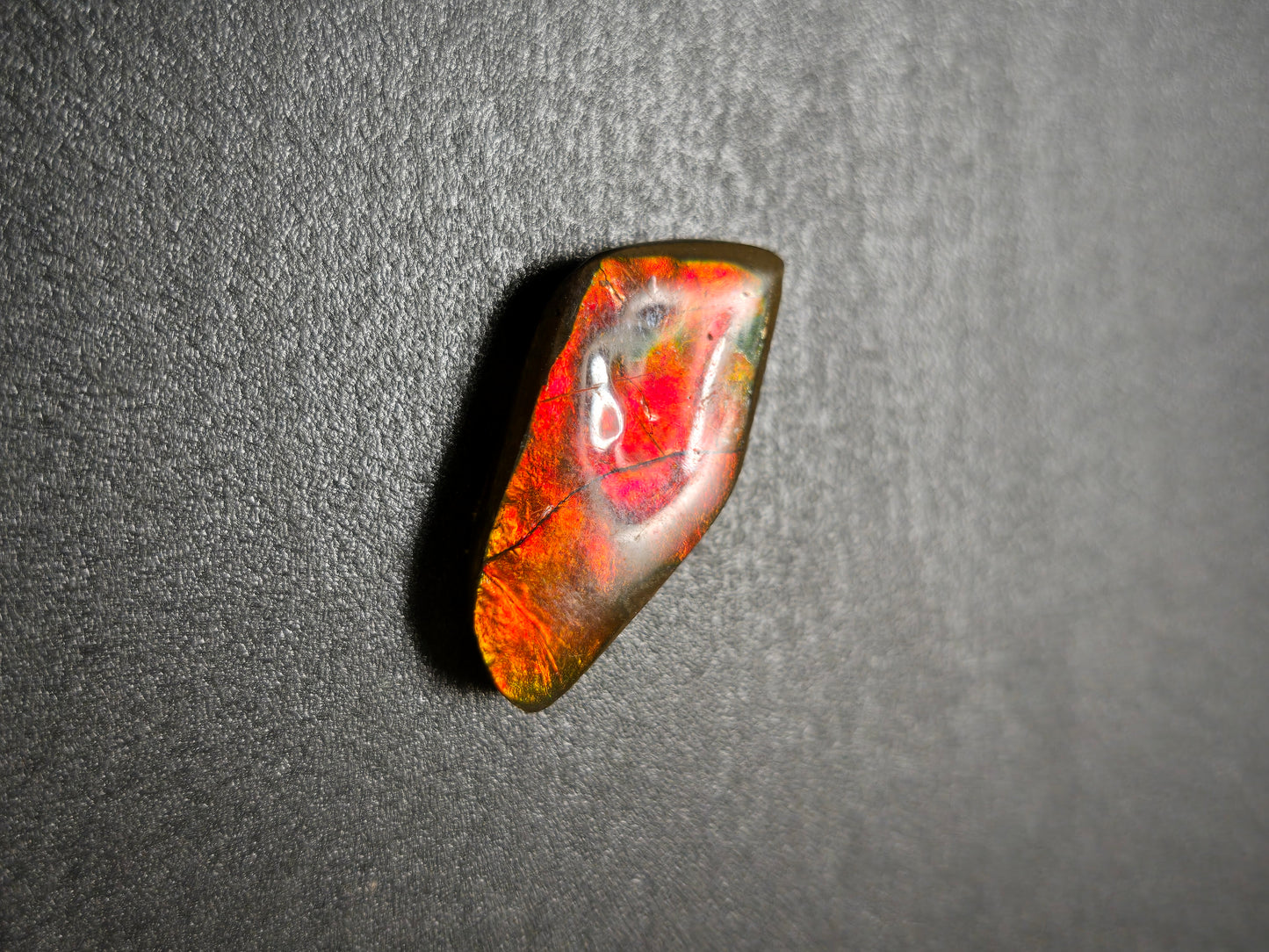 Ammolite