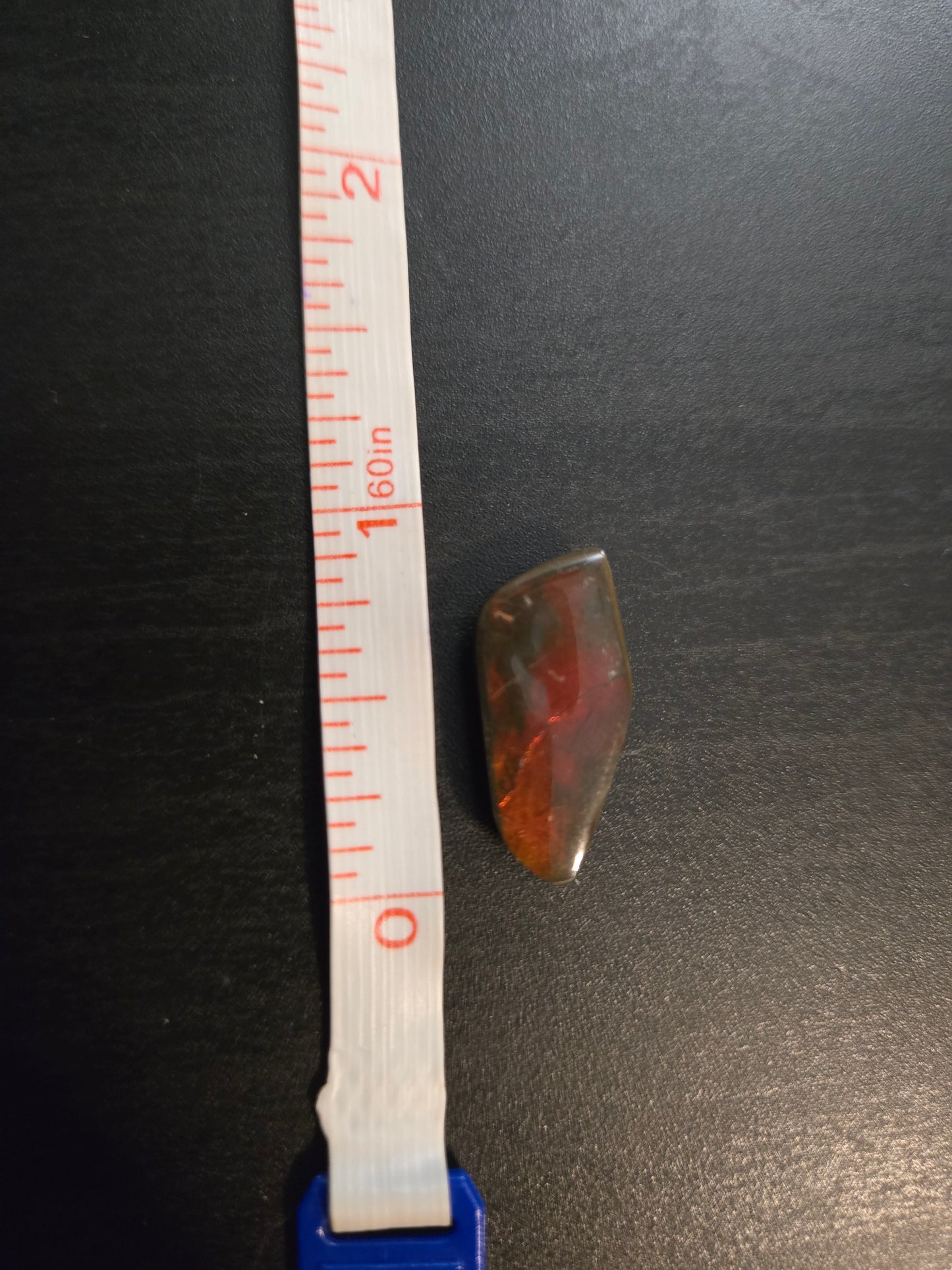 Ammolite