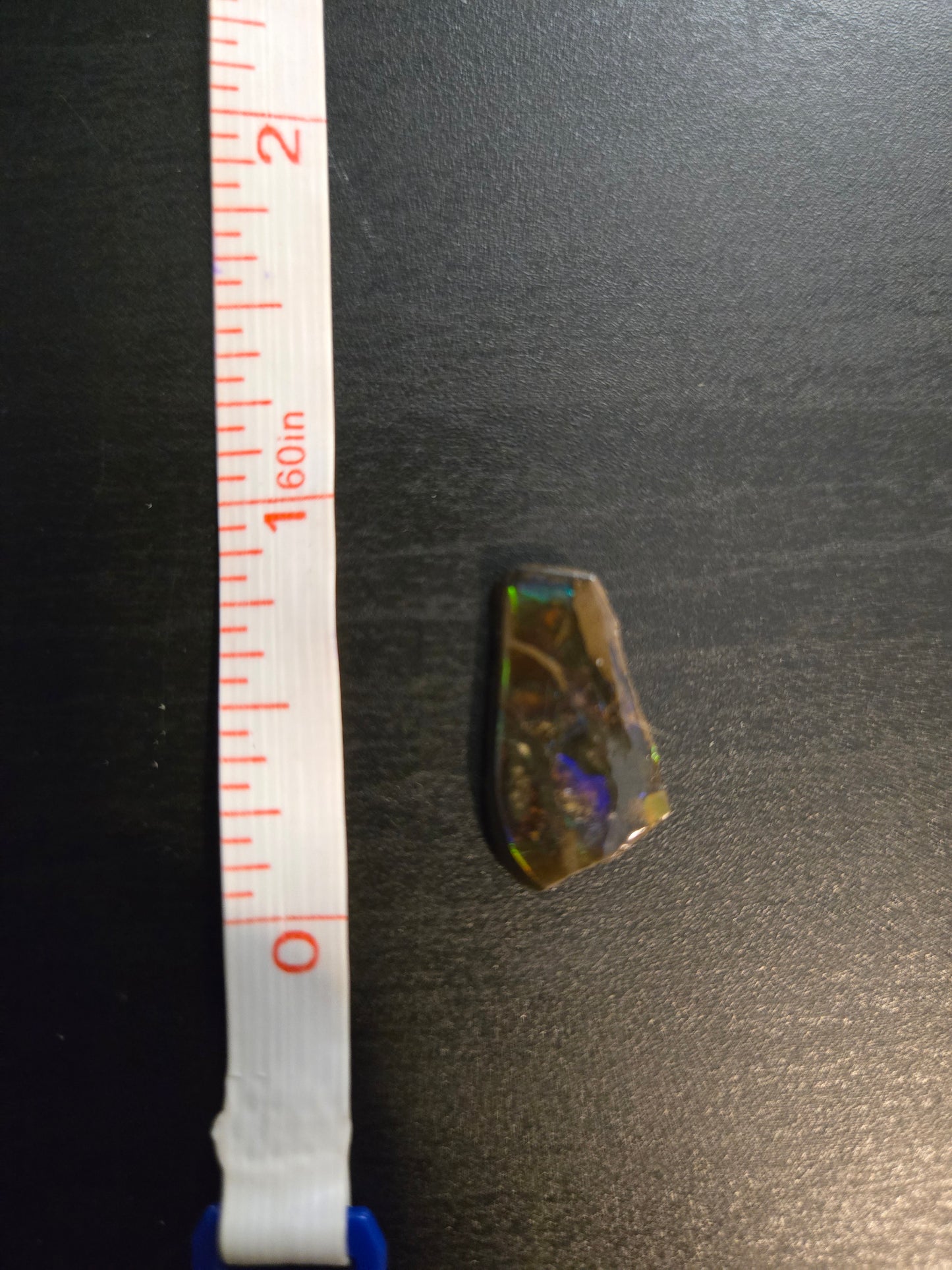 Ammolite